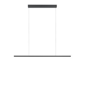 Bankamp Hexagon F2371 LED-Pendelleuchte bei lampenonline.de